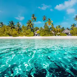 Picture for song 'Dimelo Bebe' by artist 'GORDOMILLONES'