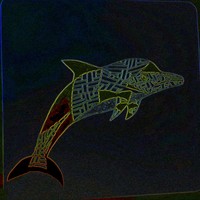 Picture for song 'Dolphin' by artist 'Icefields'