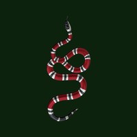 Picture for song 'Snakes' by artist 'iDBeatz Productions'