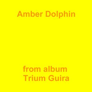 Picture for song 'Amber Dolphin' by artist 'Jean-Marc Lozach'