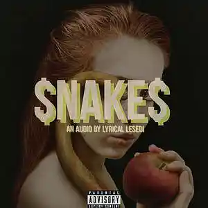 Picture for song '$NAKE$' by artist 'Lyrical Lesedi'