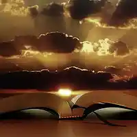 Picture for song 'Time of Need' by artist 'MeatyMe'