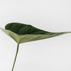 Picture for song 'Gucci' by artist 'P.R Beats'