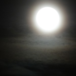 Picture for song 'HIPNOTIQUE POISE-IN ON POINT 2 SIGHED' by artist 'Queen Nefer Aset Titi Cleo She Bah and ?'