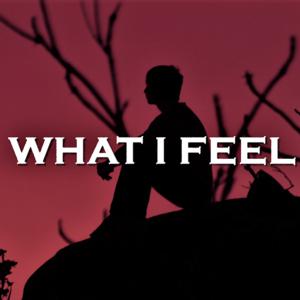 Picture for song 'What I Feel' by artist 'SadGlad Music'