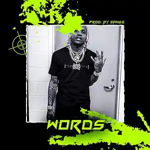 Picture for song 'Polo G x Toosii x Lil Durk Type Beat - Words' by artist 'sange beats'