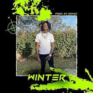 Picture for song 'Toosii x Li Tjay x Lil Durk Type Beat - Winter' by artist 'sange beats'