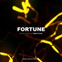 Picture for song '*RNB* Fortune' by artist 'TEDYSTER'