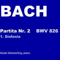 Picture for song 'BACH Partita No. 2 - Sinfonia (Guido Kaemmerling)' by artist 'The Guido K. Group'