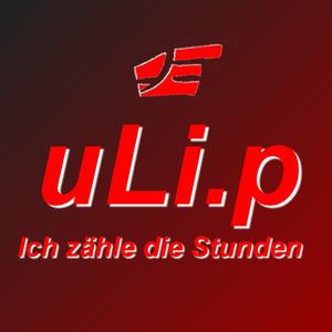 Picture for song 'Ich zähle die Stunden' by artist 'uLi.p'