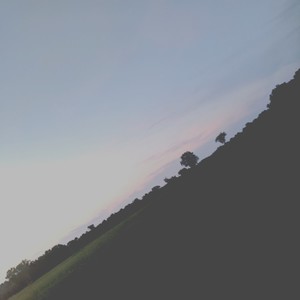 Picture for song 'fugitives' by artist 'will u.'