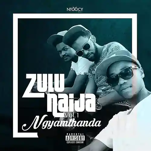 Picture for song 'ZuluNaija - Ngyakthanda' by artist 'Zulu Naija'