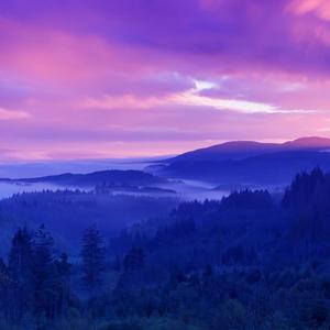 Picture for song 'Dawn' by artist 'Zordag'