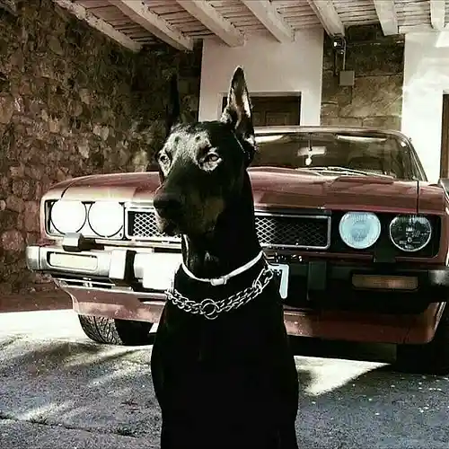 Picture for song 'Low Key' by artist 'Azzarith'
