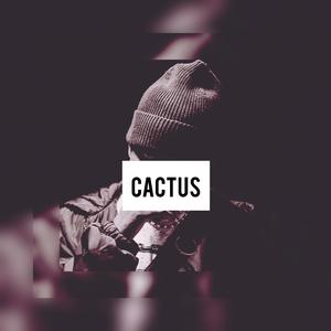 Picture for song 'Cactus' by artist 'Black Hawk'