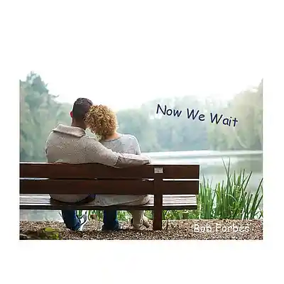 Picture for song 'Now We Wait' by artist 'Bob Forbes'