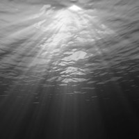 Picture for song 'Deeper' by artist 'Cooarri'