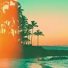 Picture for song 'delusional summer' by artist 'Isolated Ent'
