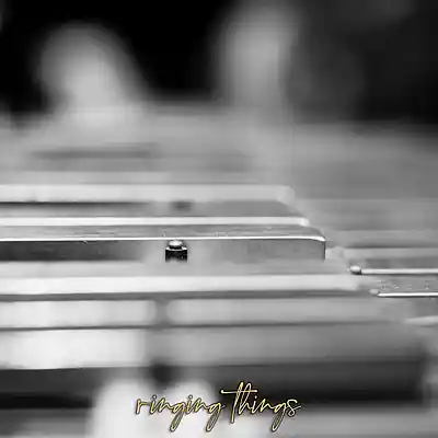 Picture for song ''ringing things'' by artist 'Larry Soundz'