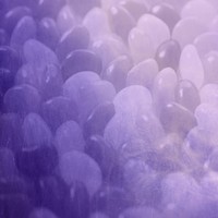 Picture for song 'Sweet *FREE DOWNLOAD*' by artist 'Nick Vanelli'