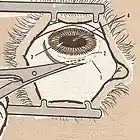 Picture for song 'Sky Diamond' by artist 'MF Paladin'