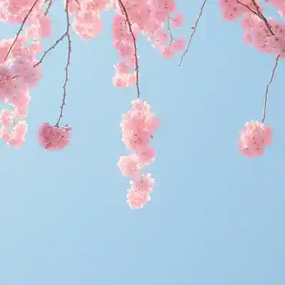 Picture for song 'Promise of the Wind' by artist 'PIANO AND NIGHT'