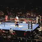 Picture for song 'Manny Pacquiao **HOTT** FREE DL' by artist 'Problematic Producers'