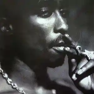 Picture for song 'True boy' by artist 'Roccos'