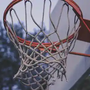 Picture for song 'Courtside Beat' by artist 'Ronnie Boiii'