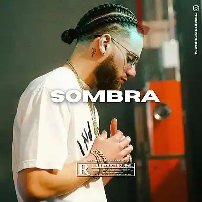 Picture for song 'SOMBRA TRAP GUITAR (Buy 1 Get 1 FREE)' by artist 'Victus Fire'