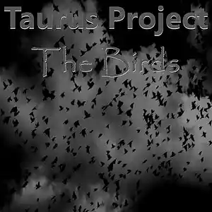 Picture for song 'The Birds' by artist 'Taurus Project'