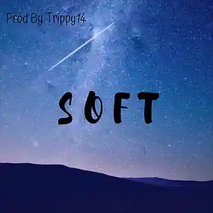 Picture for song 'S O F T' by artist 'CosaNostraTrippyy'