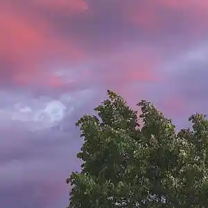 Picture for song 'flow-fi' by artist 'Wjgo'