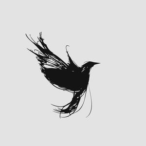 Picture for song 'Black Bird' by artist 'Zordag'