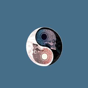 Picture for song 'Yin' by artist 'Zordag'