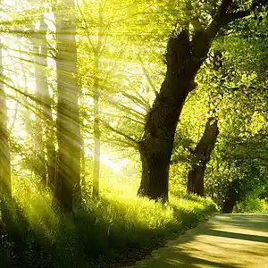 Picture for song 'A Summer's Day' by artist '2uo7rax'