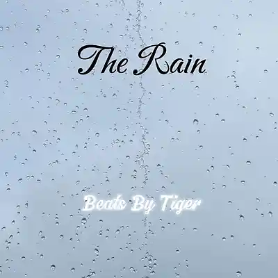 Picture for song 'The Rain' by artist 'Beats By Tiger'