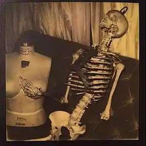 Picture for song 'BACKFROMDADEAD' by artist 'Budd Dwyer'