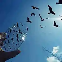 Picture for song 'imagine' by artist 'FLXbeats'