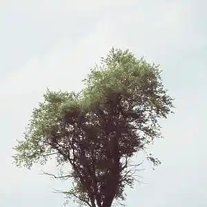 Picture for song 'Forget' by artist 'mAd goNe maD'