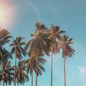 Song picture