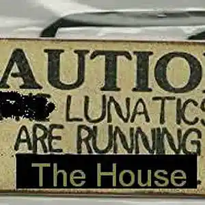 Picture for song 'Lunatics Are Running The House' by artist 'Keith Mitchell'