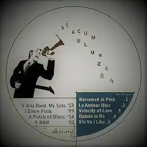 Picture for song 'nihil ' 82' by artist 'Liviu Dobrescu'