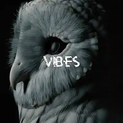Picture for song 'Vibes' by artist 'Ryan'