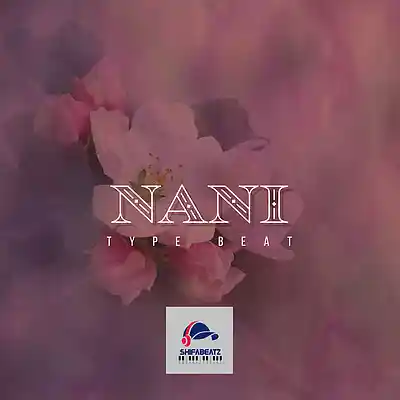 Picture for song 'D Voice feat Zuchu - Nani (Type Beat) By Shifabeat' by artist 'Shifabeatz'