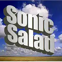 Picture for song 'Wind Symphony' by artist 'The Sonic Salad'