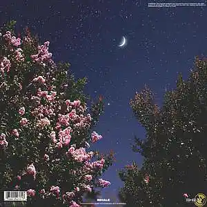 Picture for song 'Inhale' by artist 'Ezhdee'