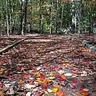 Picture for song 'There's a Rugged Road' by artist 'hank49'