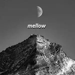 Picture for song 'mellow - Melodic Type Beat' by artist 'Menge'