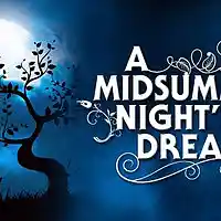 Picture for song 'A Midsummer Nights Dream' by artist 'Mick Wilsons Bloonoise'